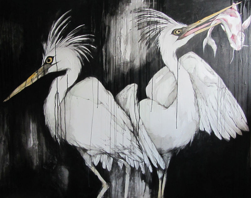 white herons